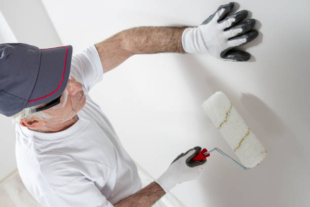Forensic Mold Investigation in Tallmadge, OH