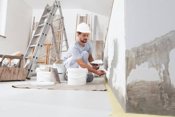 Best Post-Construction Mold Inspection  in Tallmadge, OH