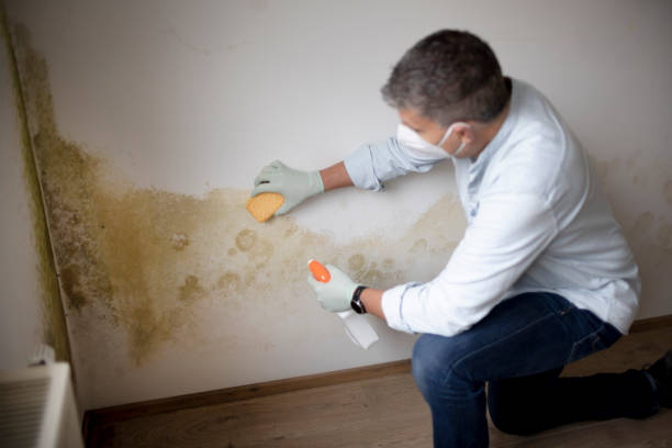 Mold Remediation for Rental Properties in Tallmadge, OH