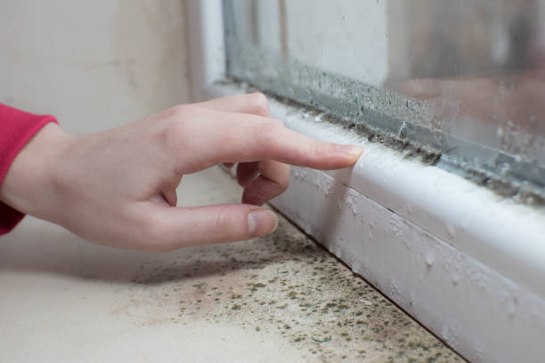 Best Mold Remediation for Rental Properties  in Tallmadge, OH